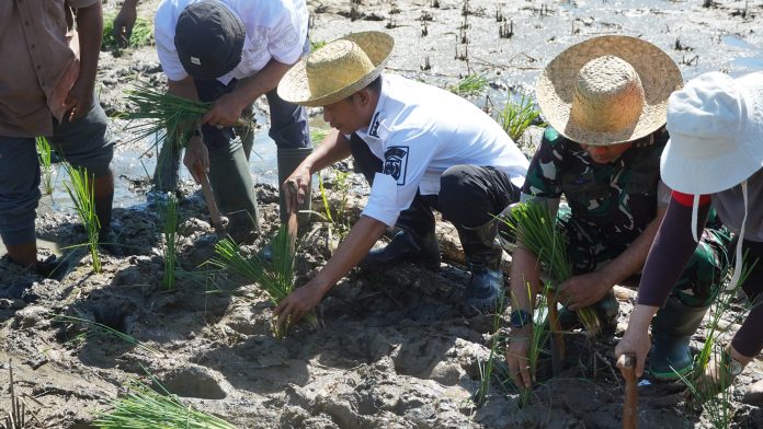 Lahan Pertanian Banjarmasin Terancam, Wali Kota Yamin Turun Sawah: Jangan Sampai Kalah oleh Beton